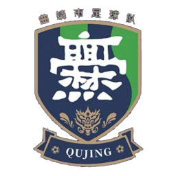 保山队