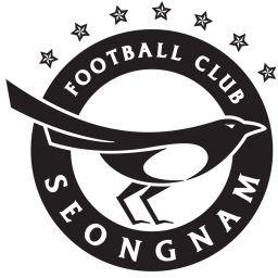 庆南FC